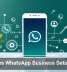 AI Makes WhatsApp Business Setup Easier